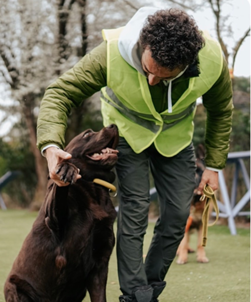 Business profile photo for All Dogs Unleashed Dog Training OKC