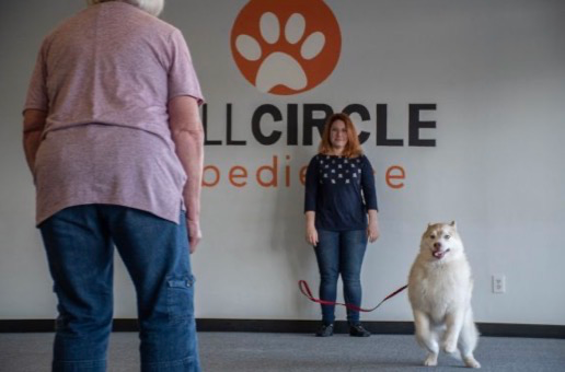 Business profile photo for Full Circle Obedience School