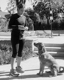 Business profile photo for Spirit Ranch Dog Training LLC