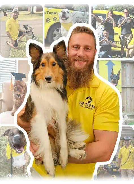 Business profile photo for Tip Top K9 - Oklahoma City