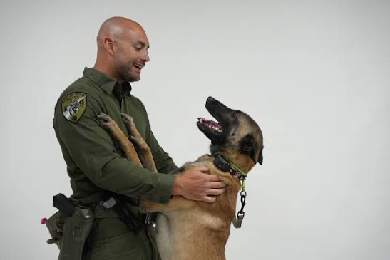 Business profile photo for Torchlight K9