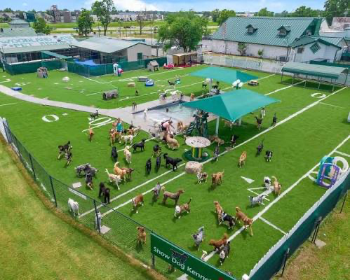 Business profile photo for Woodland West Pet Resort