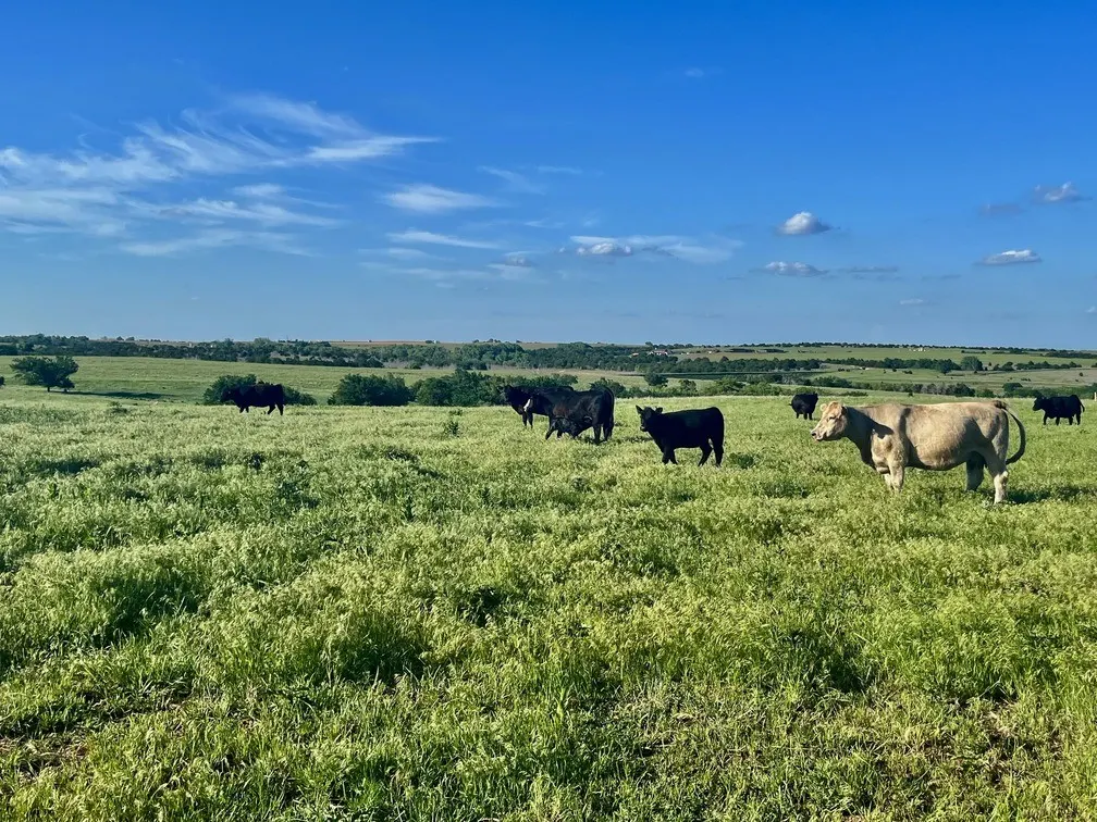 profile photo for Dry Creek Meats