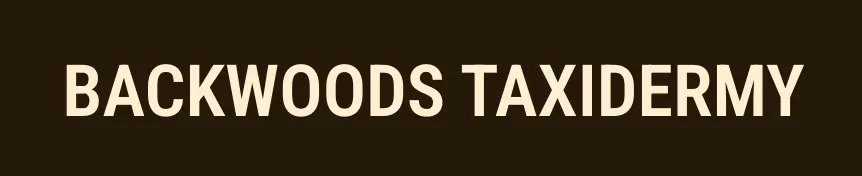 logo for Backwoods Taxidermy
