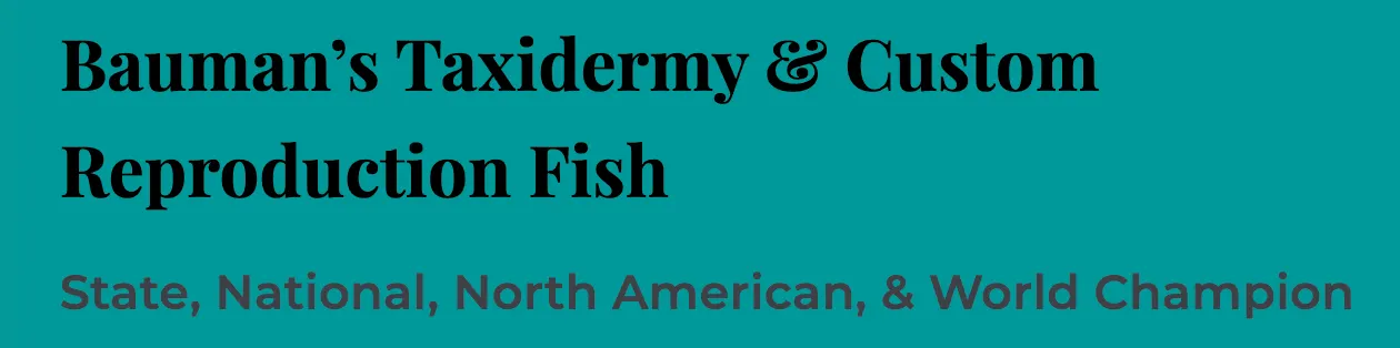 logo for Bauman's Taxidermy