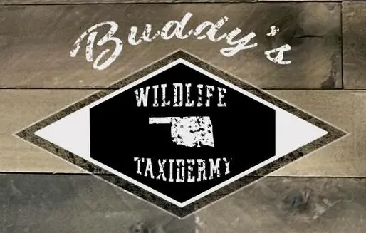 logo for Buddy's Wildlife Taxidermy