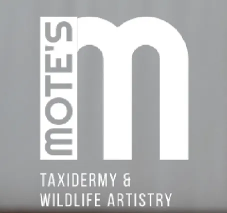 logo for Mote's Taxidermy and Wildlife Artistry