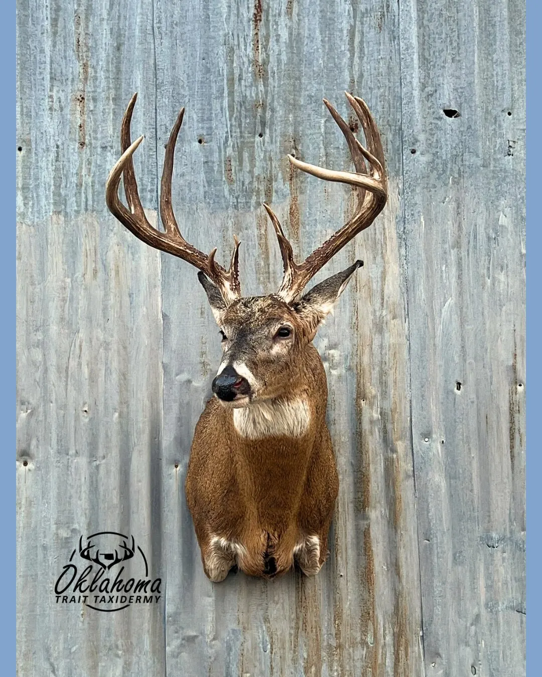 profile photo for Oklahoma Trait Taxidermy