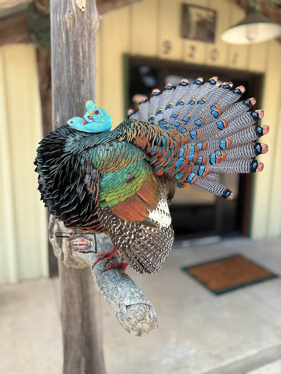 profile photo for Terry's Taxidermy & Wild Game Processing