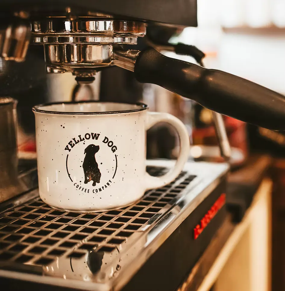 profile photo for Yellow Dog Coffee Company