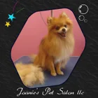 Business logo for Joanie's Pet Salon LLC