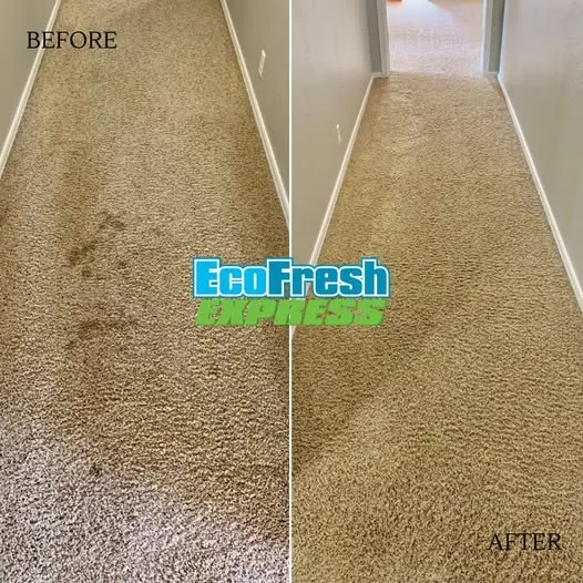 profile photo for Eco Fresh Express