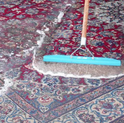 profile photo for Sani Sheen