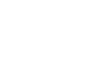logo for Whitehead Brothers Painting
