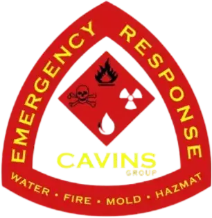 logo for Cavins Group